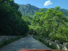 -白草畔自然风景区