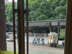-瑞鹏宠物医院·夜间急症·心超·猫科(祖庙分店)