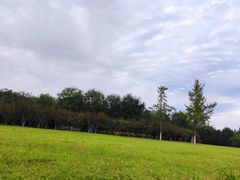 -永定河休闲森林公园