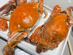 -大锅强·蒸海鲜青岛菜(城市阳台店)