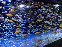 -成都浩海立方海洋公园