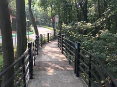 -广州市帽峰山景区