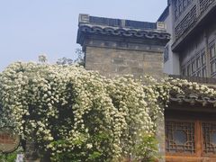 -安庆柴火馄饨(马道街店)