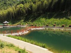 -龙坞茶村