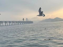 -星海湾跨海大桥