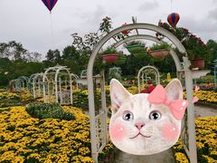 -都江堰玫瑰花溪谷