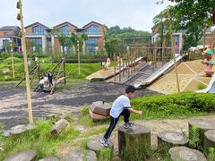 -铁山坪森林公园