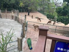 -柳州市动物园