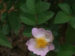 -青龙山国家森林公园