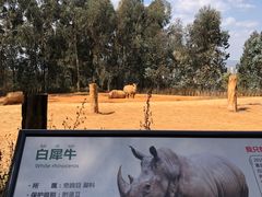 -云南野生动物园