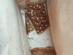 -香糯炎荞饼王(解放碑店)