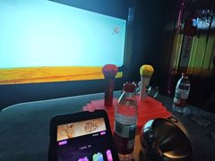 -温莎KTV(珠江路店)