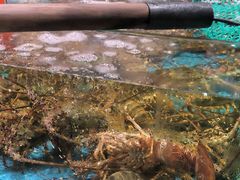 -阿伟海鲜楼·福建菜(延寿店)