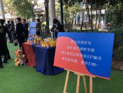 -琥珀婚礼策划AMBER WEDDING