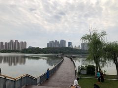 -月湖风景区