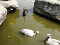 -西安秦岭野生动物园