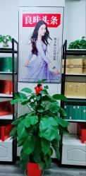 -良咔瘦身·减脂塑形