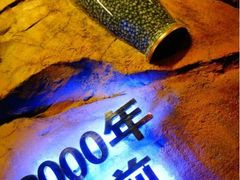 iphone_upload_pic-很久以前羊肉串(大华三路店)