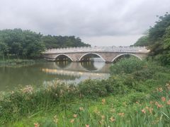 -海珠湖公园