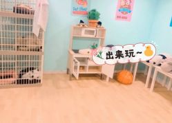 -Eureka优瑞卡儿童主题乐园(合生汇购物中心店)