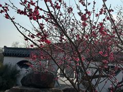 -东方绿舟景区