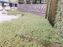 -重庆市江北嘴中央商务区中央公园