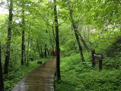 -峡谷浮石林景区
