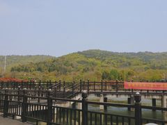 -石塘人家