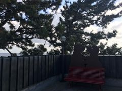 -朝安泰迪熊博物馆
