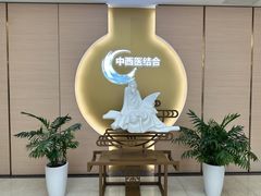-中山市陈星海医院