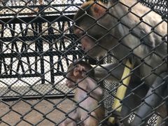 -长白岛森林公园