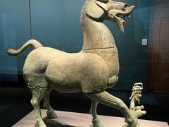 -广西壮族自治区博物馆