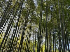 -苏州环秀晓筑养生度假村