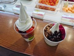 -三佰瑞冻酸奶(凯德MALL店)