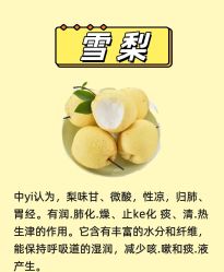 -雅曼妮spa美容养生