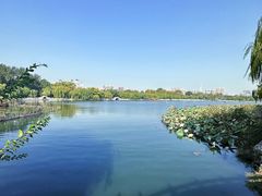 -济南大明湖景区