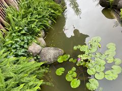 -大自然(鲁家村店)