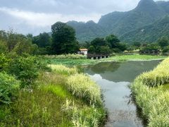 -娄山关景区