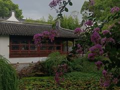 -上海醉白池公园