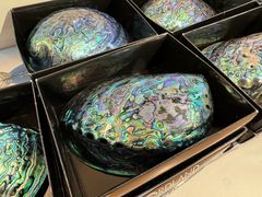 -怀托摩萤火虫洞