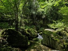 -牛背梁国家森林公园