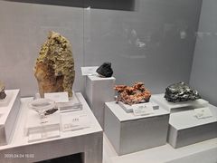 -湖南省地质博物馆