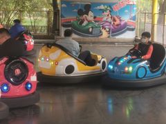 -朝阳公园游乐园