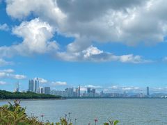 -深圳湾公园(南山区)