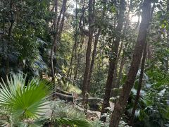 -铁山坪森林公园