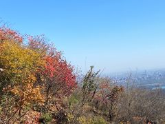 -香山公园
