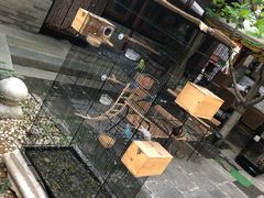 -厉家菜(金宝街店)
