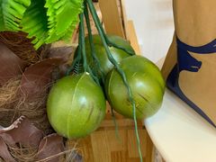 -津椰本·海南正宗椰奶清补凉(店一店)
