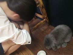 -志龙皇冠吃货椰子铺