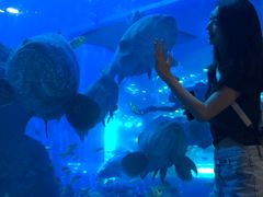 -成都浩海立方海洋公园